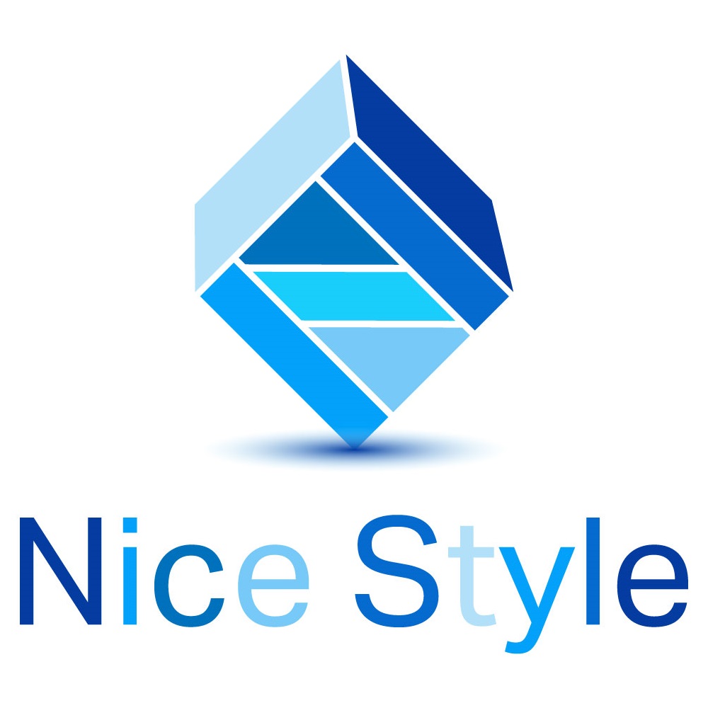 Nice Style Corporation